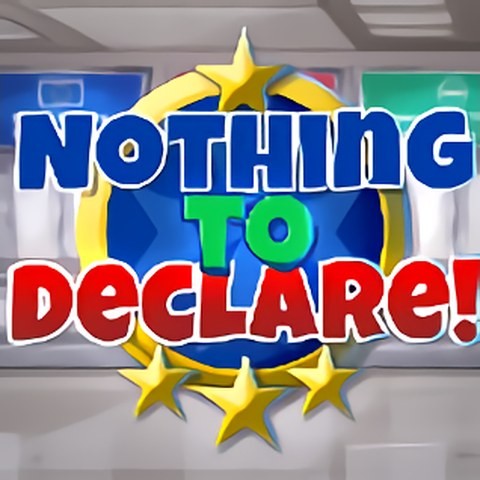 Nothing To Declare